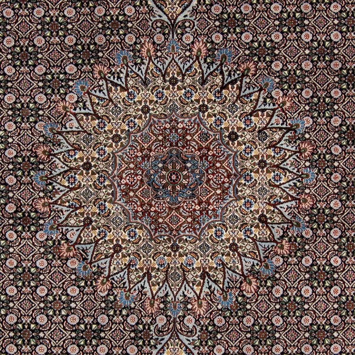 Persisk tæppe - Classic - 291 x 206 cm - mørkeblå