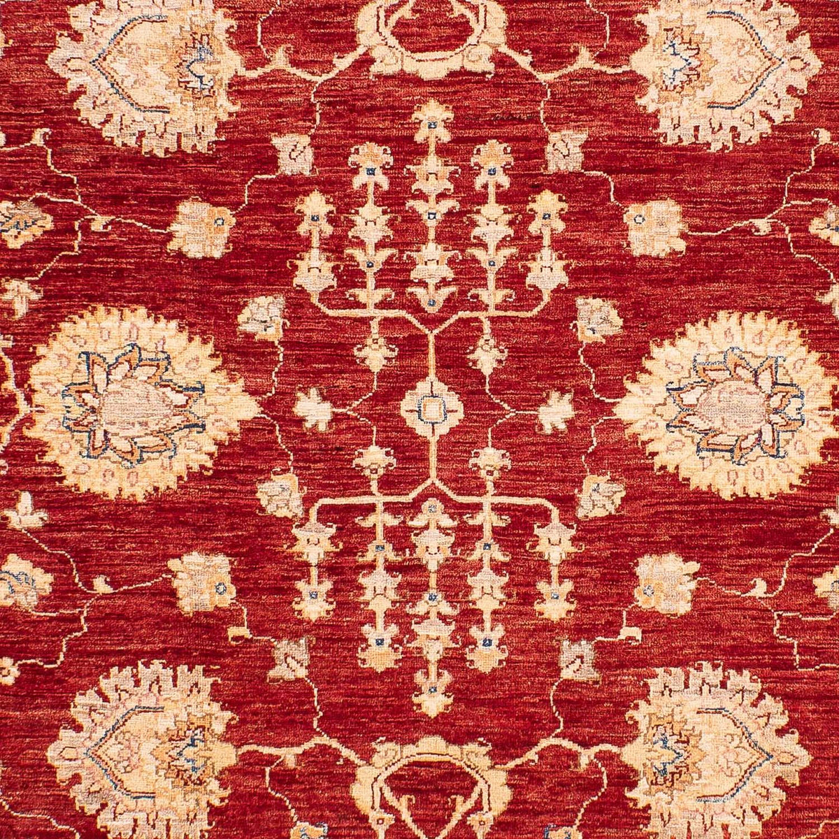 Ziegler Carpet - 218 x 169 cm - mørkeblå