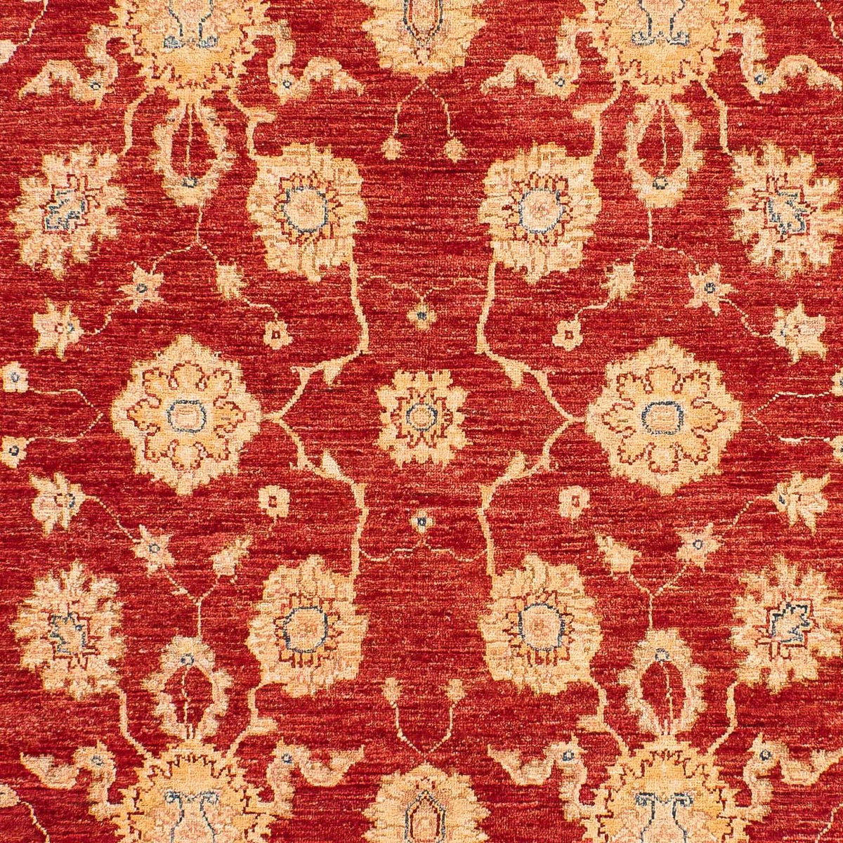 Ziegler Carpet - 245 x 163 cm - rød
