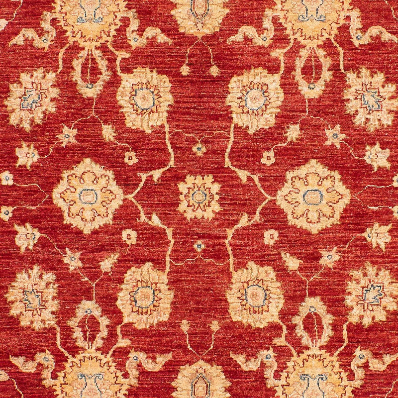 Ziegler Carpet - 245 x 163 cm - rød