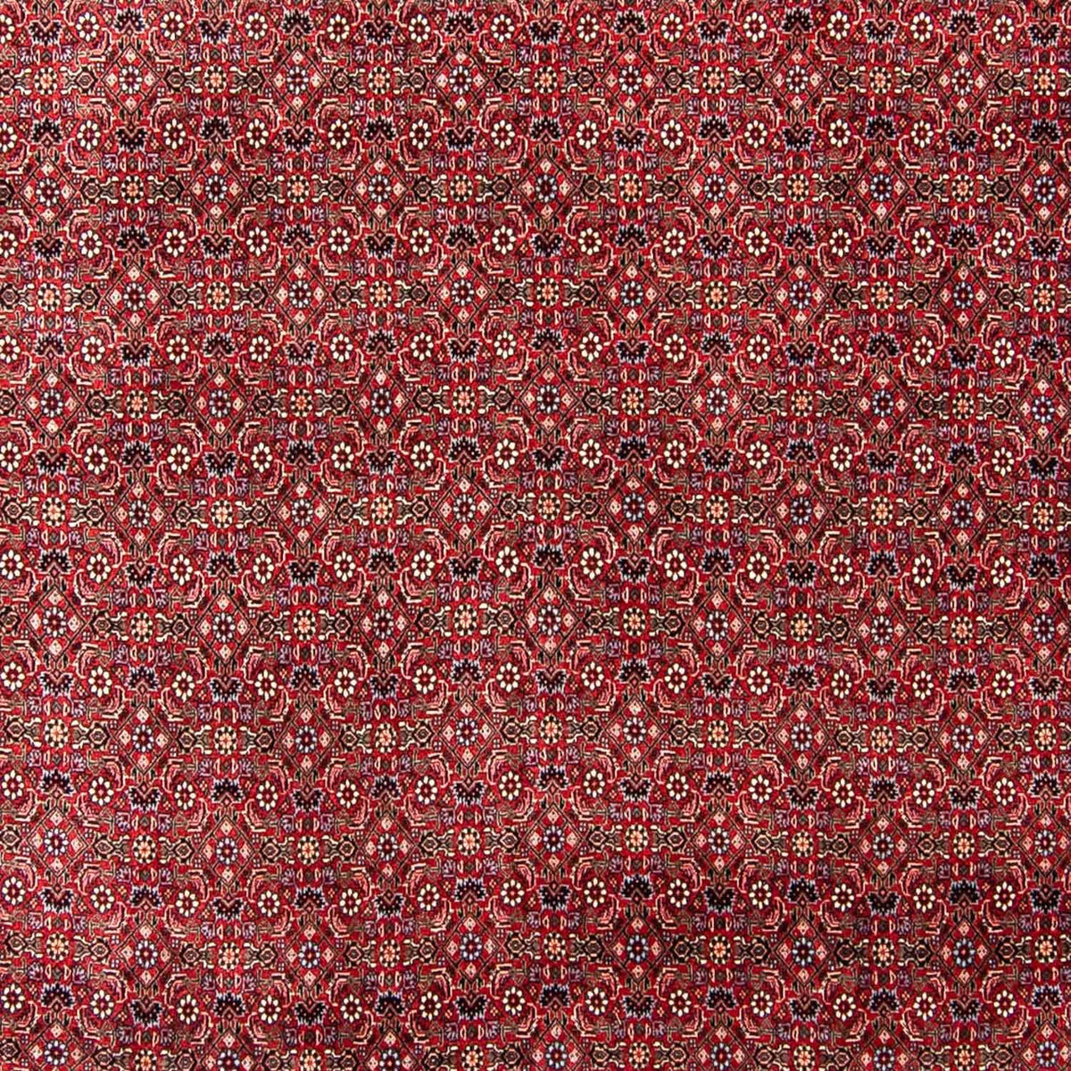 Persisk tæppe - Bijar - 300 x 253 cm - mørkerød