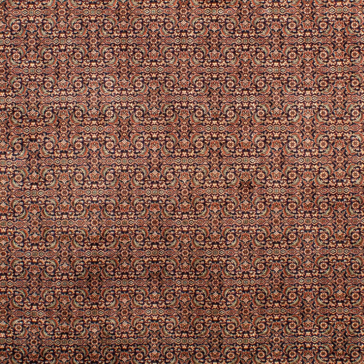 Persisk tæppe - Bijar - 298 x 202 cm - flerfarvet