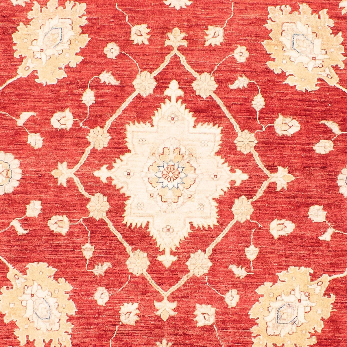 Ziegler Carpet - 310 x 243 cm - rød