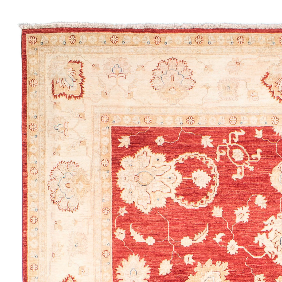 Ziegler Carpet - 310 x 243 cm - rød