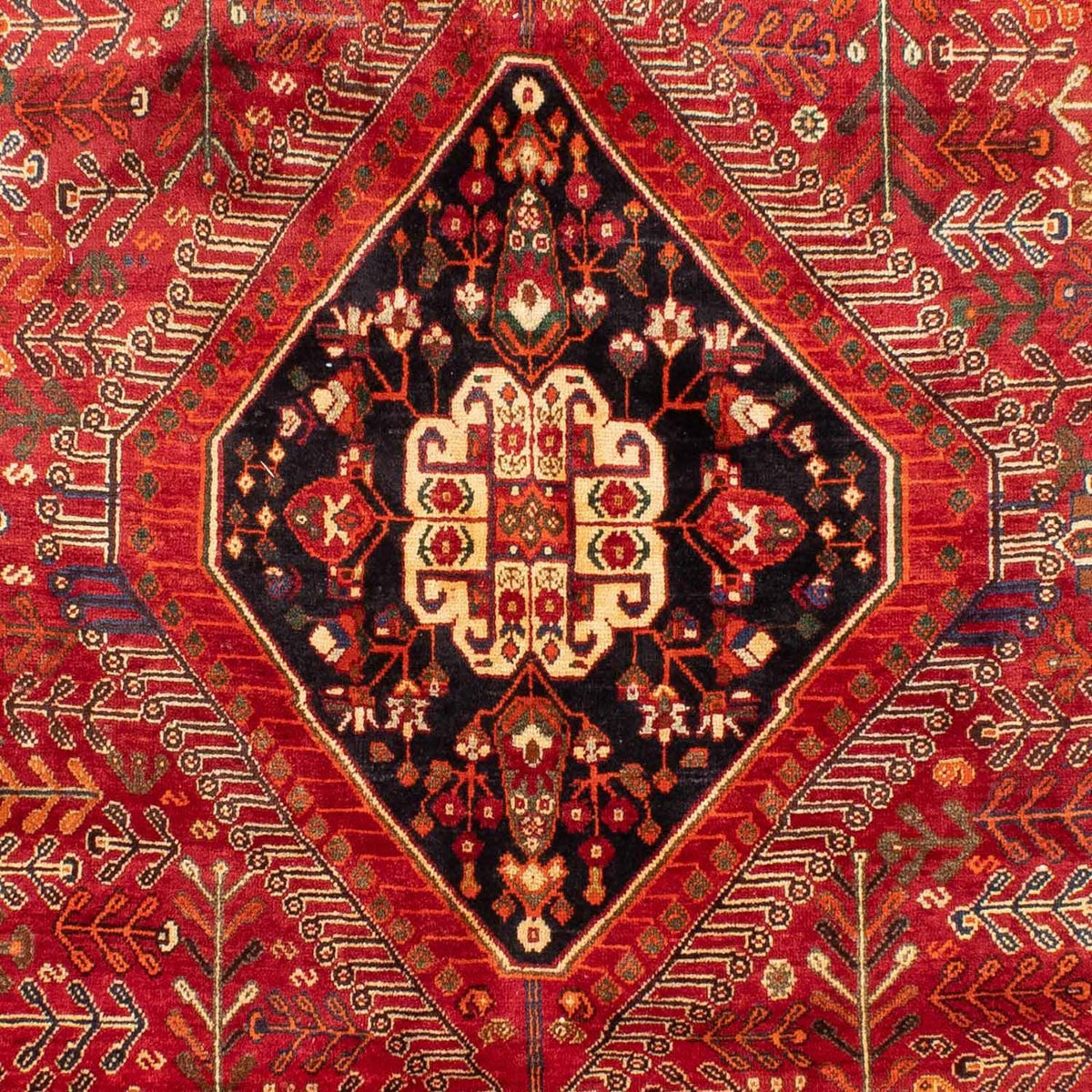 Persisk tæppe - Nomadisk - 270 x 190 cm - rød