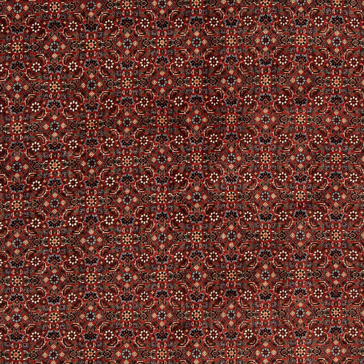 Persisk tæppe - Bijar firkantet - 203 x 197 cm - mørkerød
