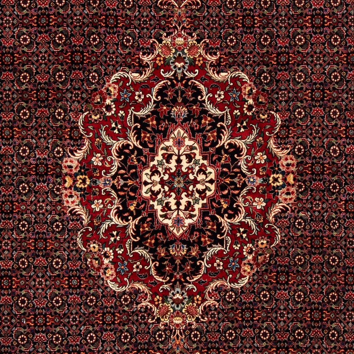 Persisk tæppe - Bijar - 252 x 200 cm - mørkerød