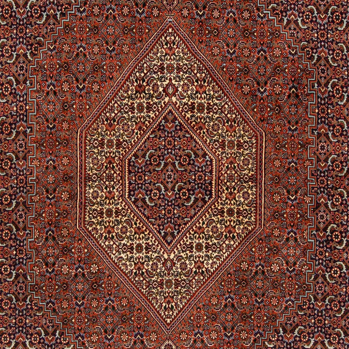Persisk tæppe - Bijar - 222 x 203 cm - brun