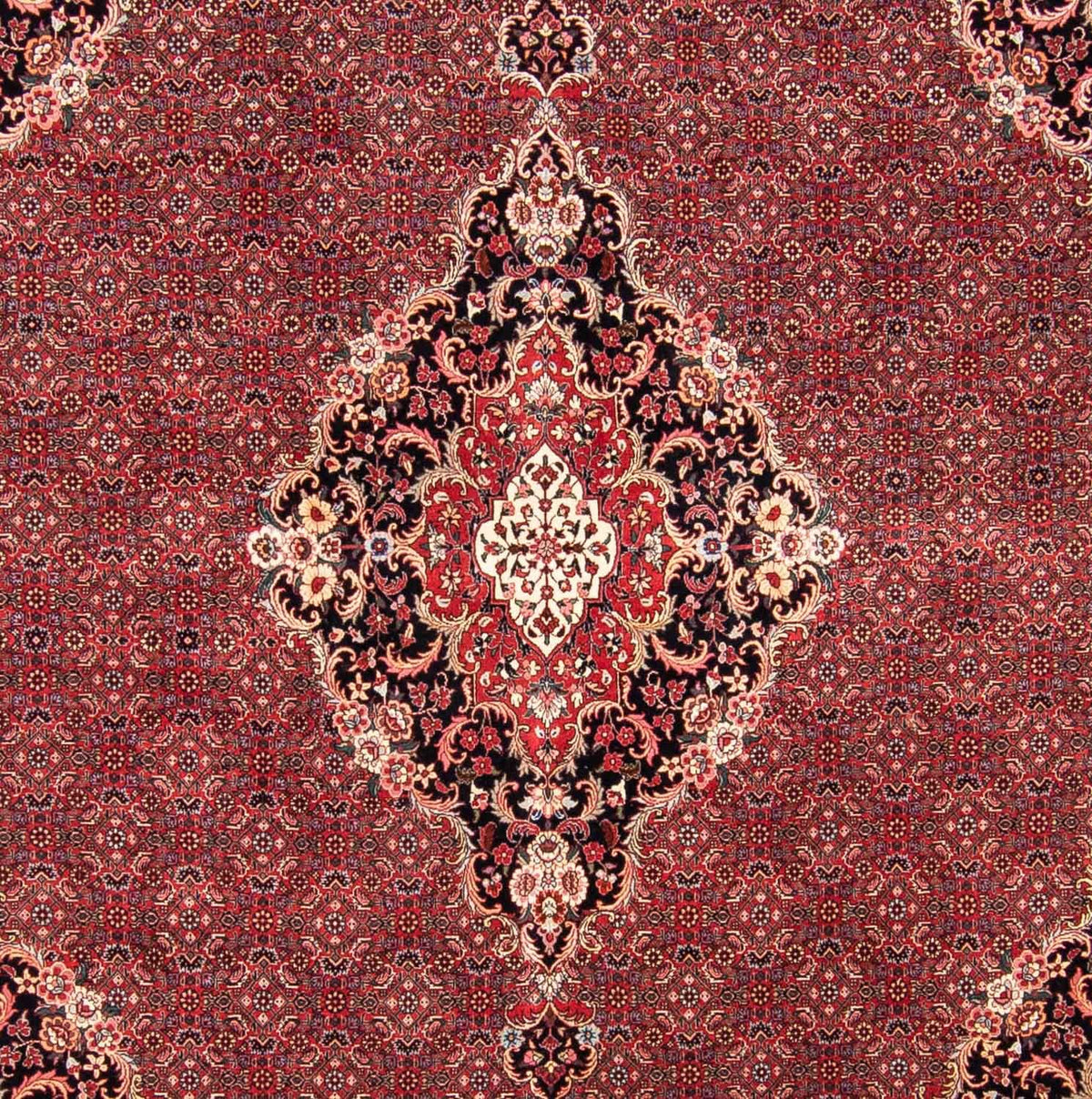 Persisk tæppe - Bijar firkantet  - 253 x 253 cm - mørkerød