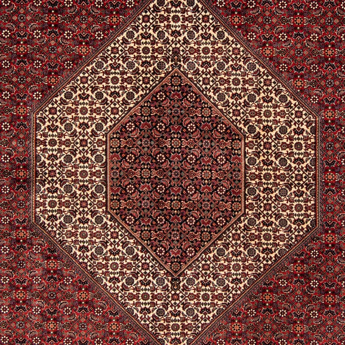 Persisk tæppe - Bijar - 261 x 206 cm - mørkerød