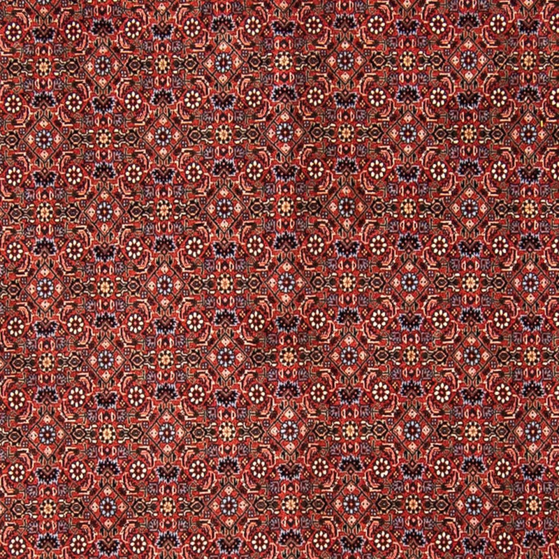 Persisk tæppe - Bijar - 308 x 254 cm - mørkerød