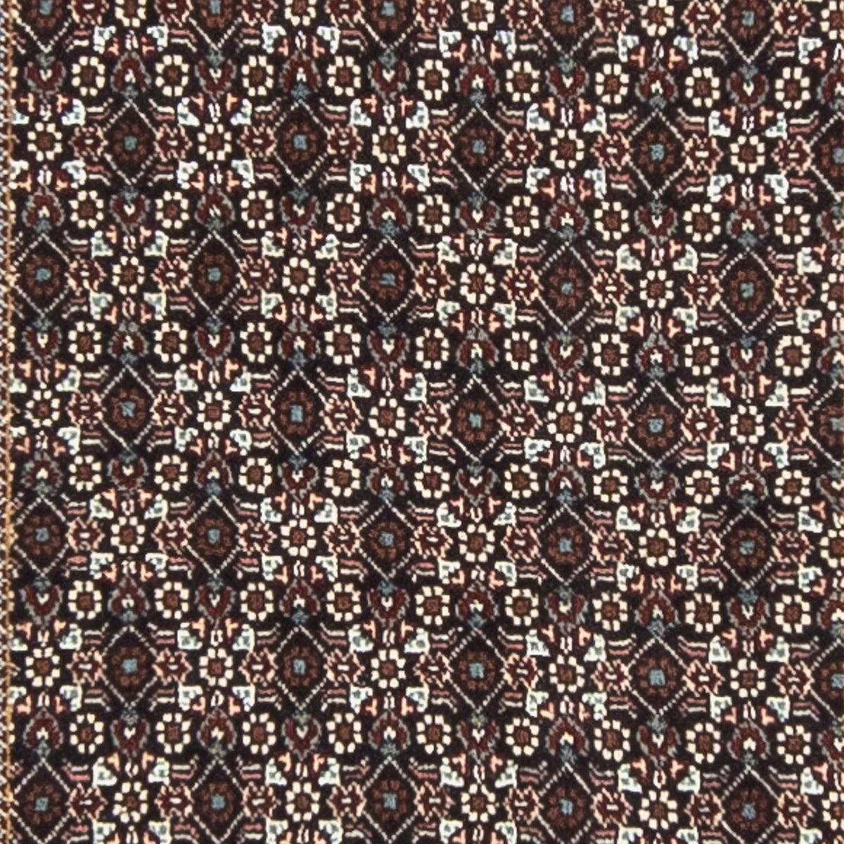 Løber Persisk tæppe - Tabriz - 351 x 70 cm - flerfarvet
