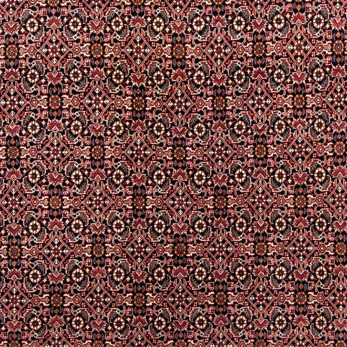 Persisk tæppe - Bijar - 247 x 168 cm - mørkeblå