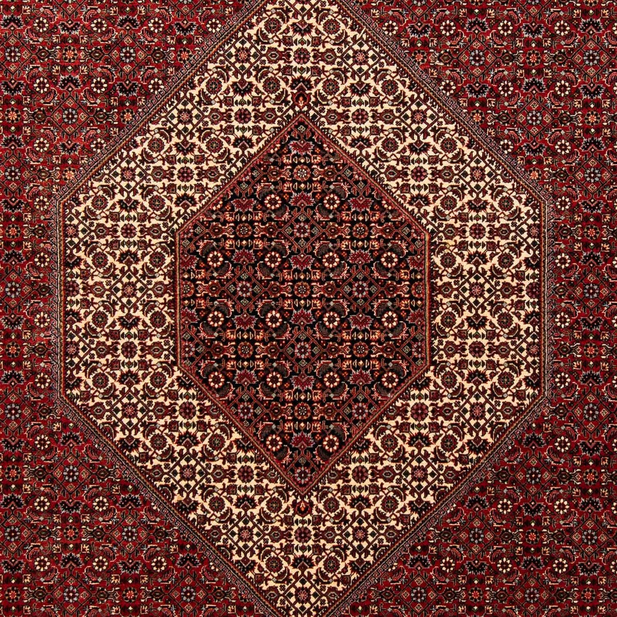 Persisk tæppe - Bijar - 253 x 202 cm - mørkerød