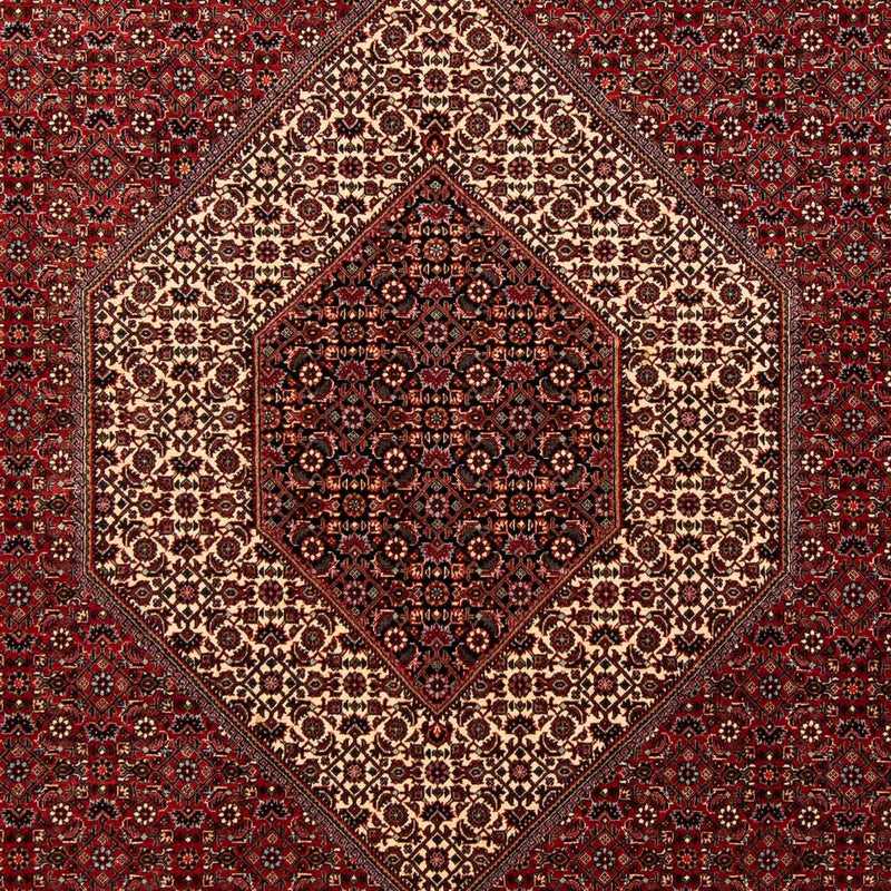 Persisk tæppe - Bijar - 253 x 202 cm - mørkerød