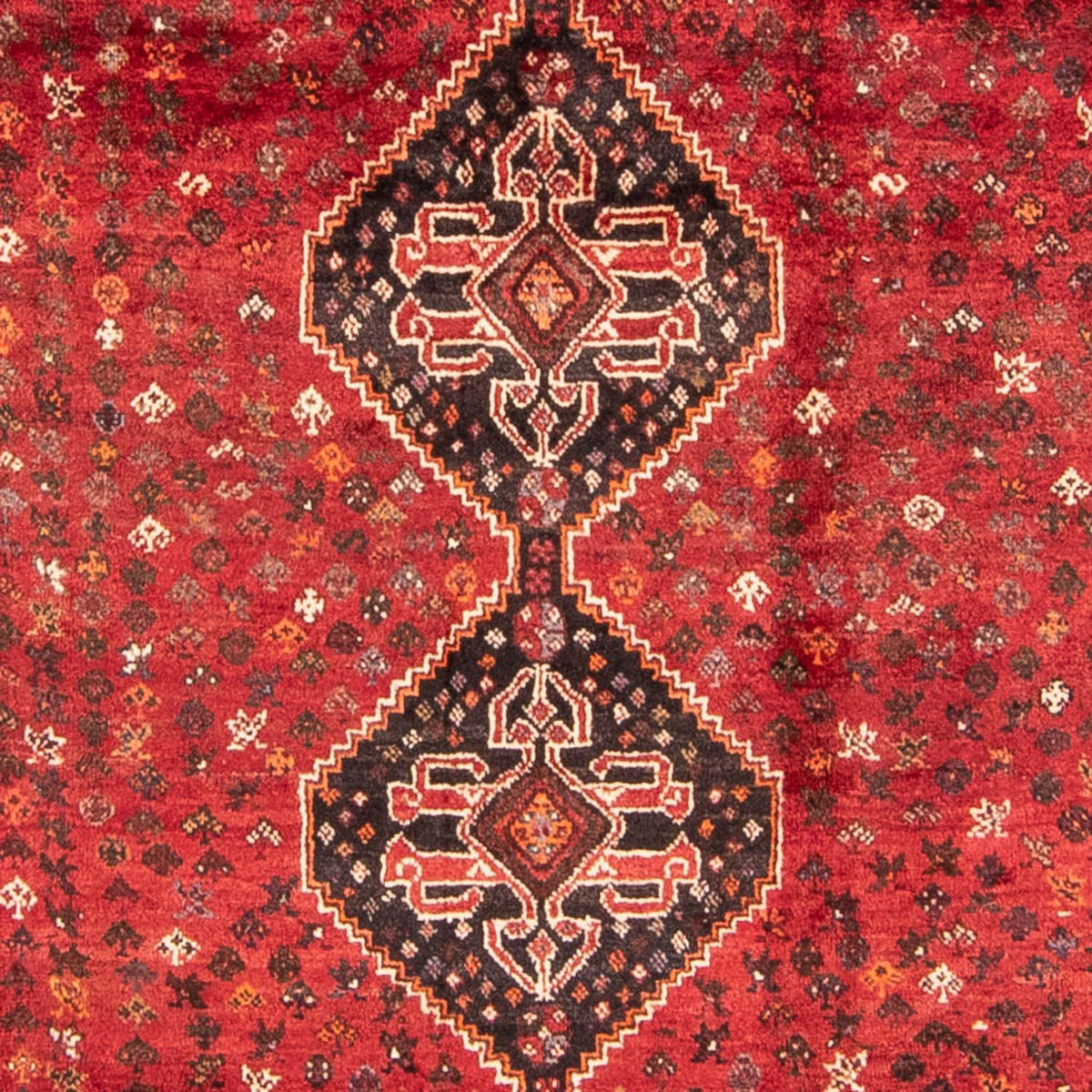 Persisk tæppe - Nomadisk - 310 x 227 cm - mørkerød