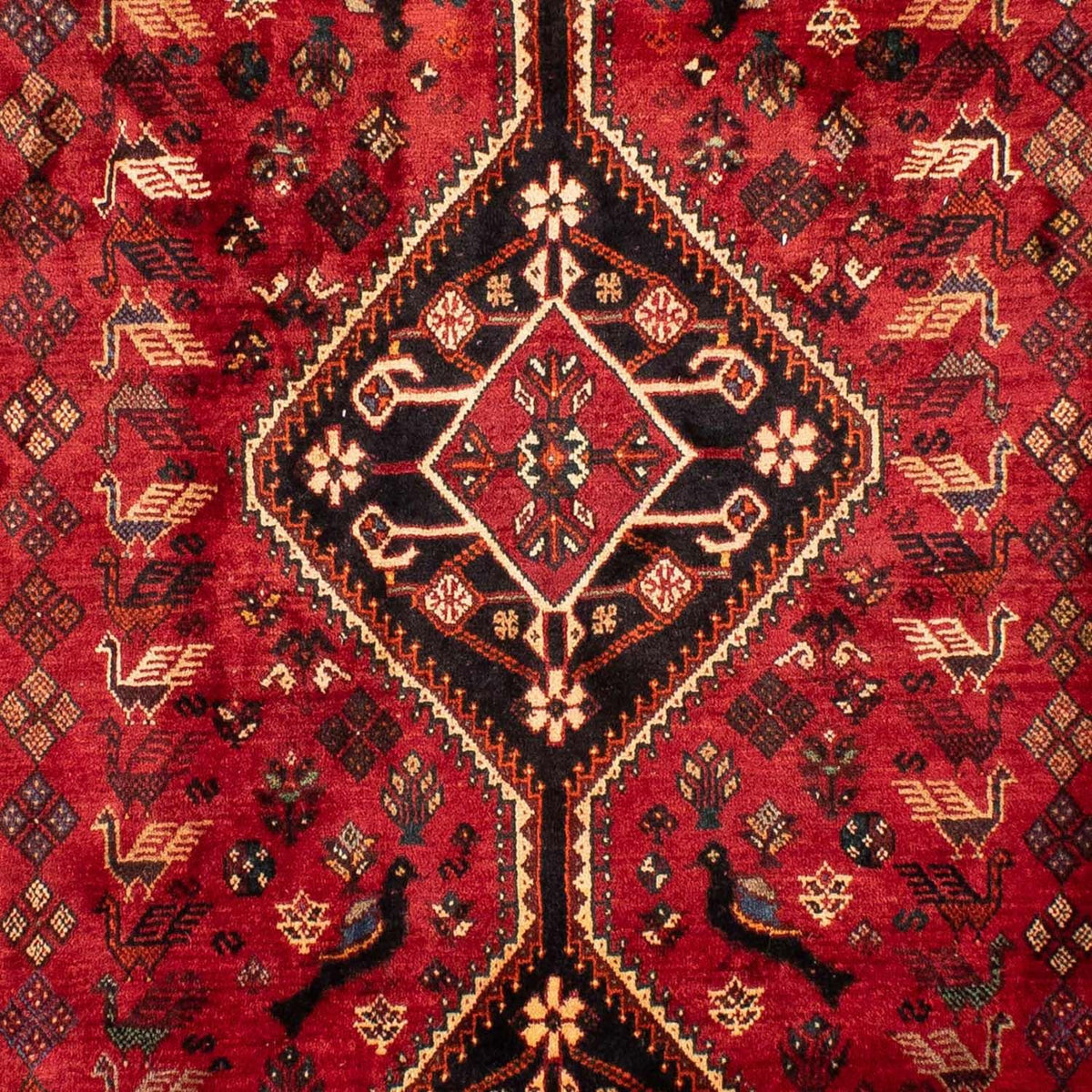 Persisk tæppe - Nomadisk - 330 x 228 cm - rød