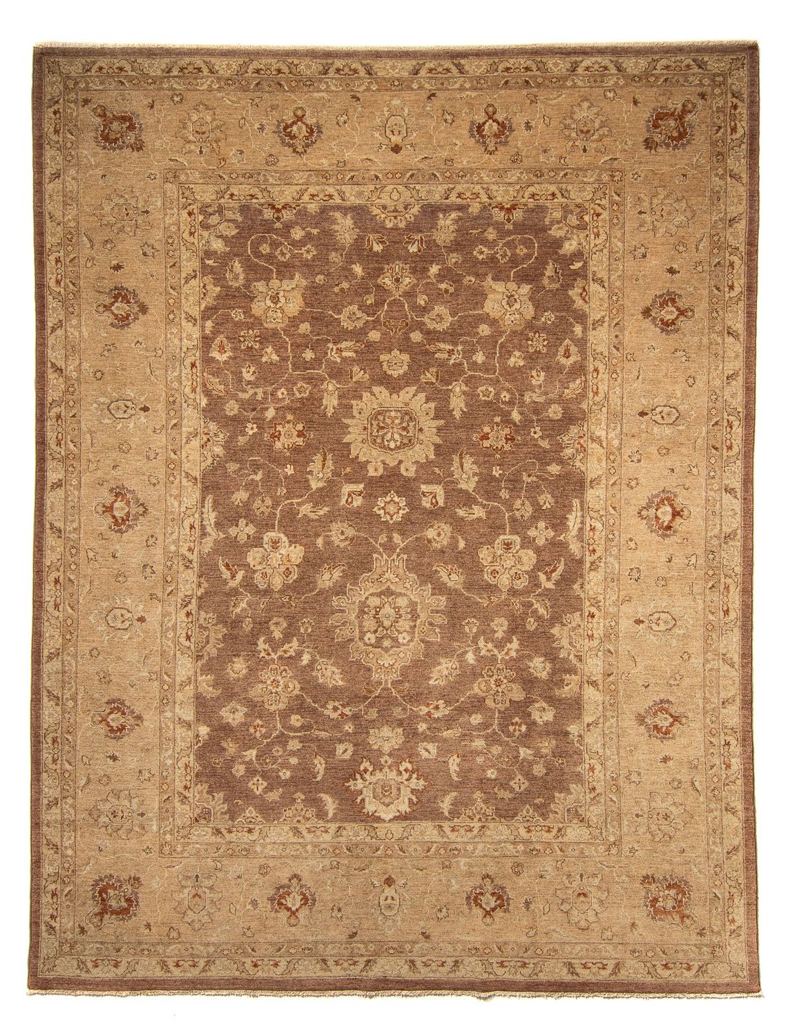 Ziegler Carpet - 369 x 270 cm - mørkebrun