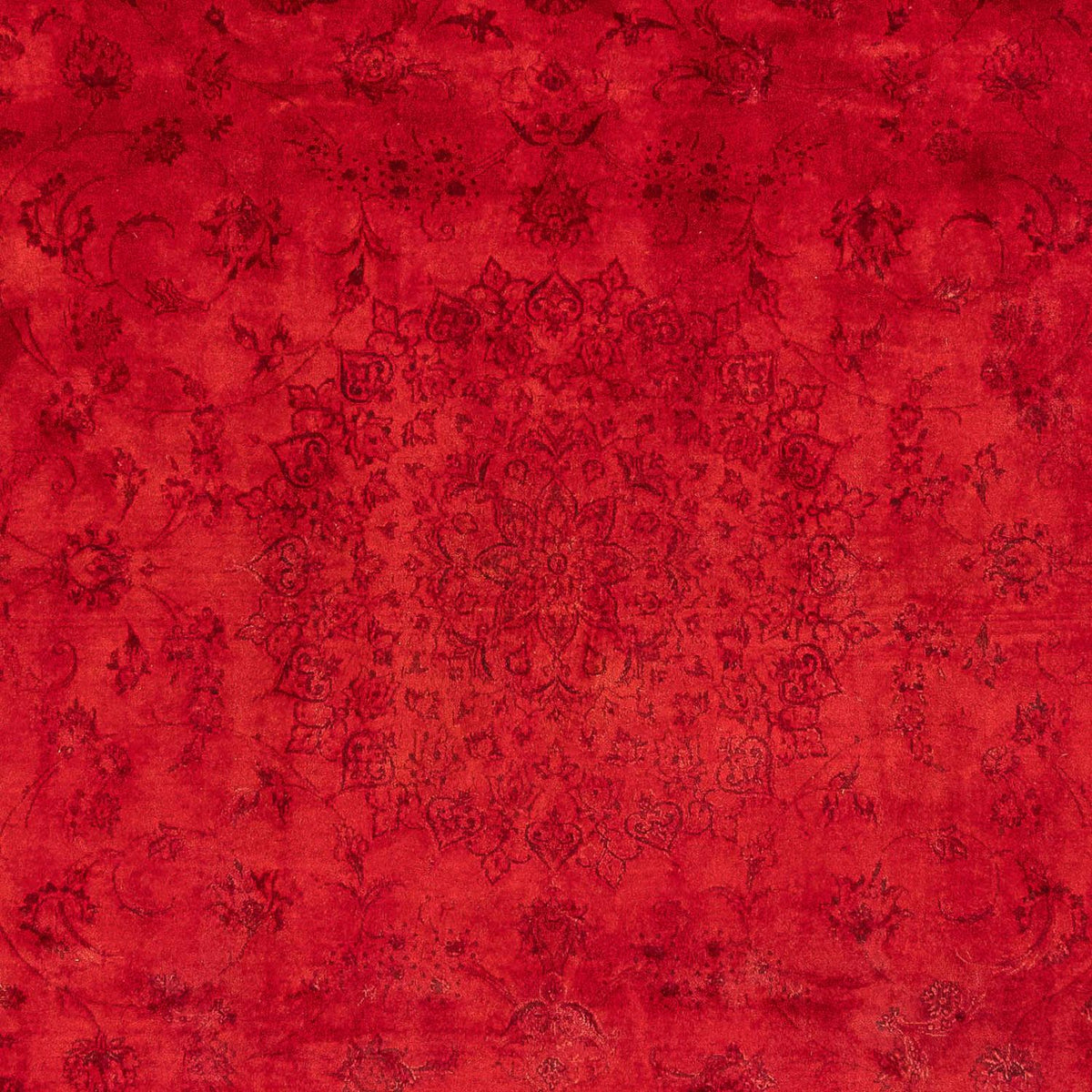 Ziegler Carpet - 238 x 168 cm - mørkerød