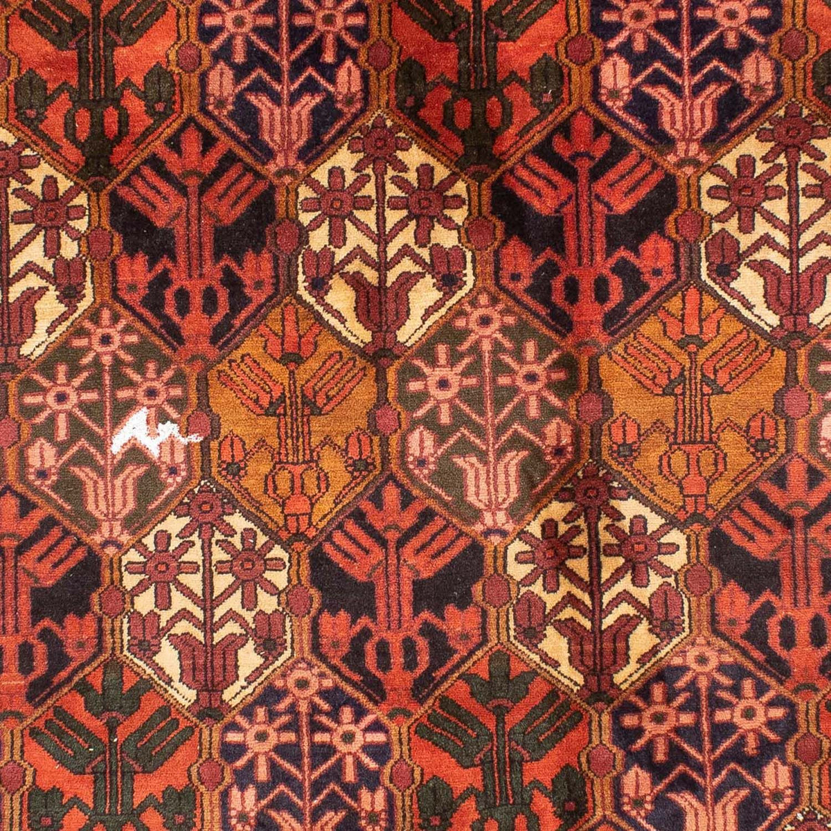 Persisk tæppe - Nomadisk - 288 x 210 cm - lysrød
