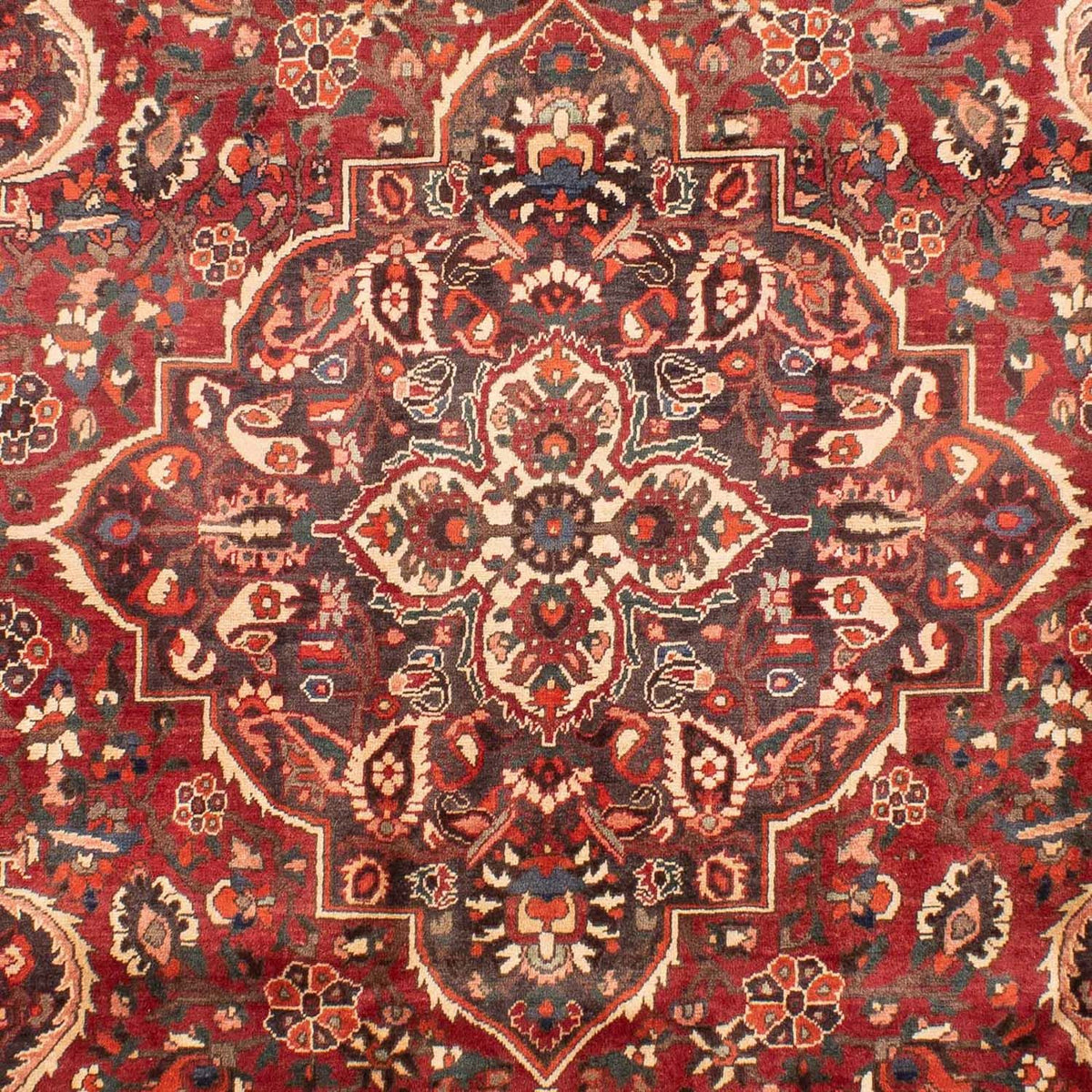 Persisk tæppe - Nomadisk - 294 x 205 cm - rød