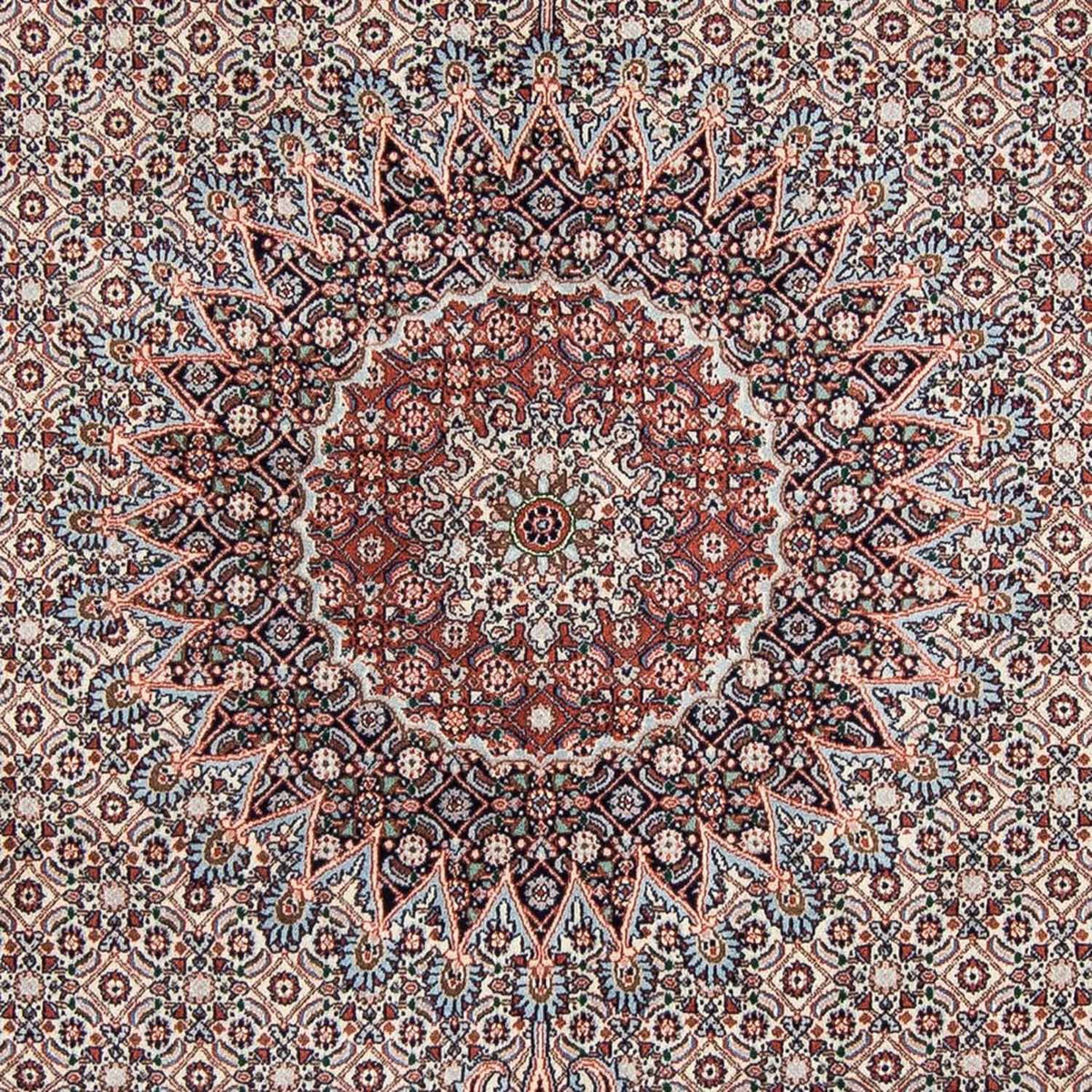 Persisk tæppe - Classic - 272 x 215 cm - beige