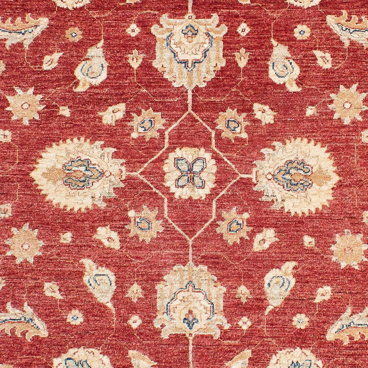 Ziegler Carpet - 234 x 167 cm - mørkerød