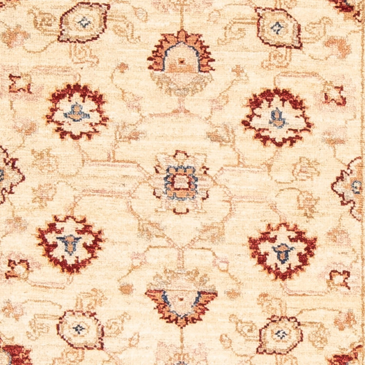 Løber Ziegler Carpet - 248 x 79 cm - beige