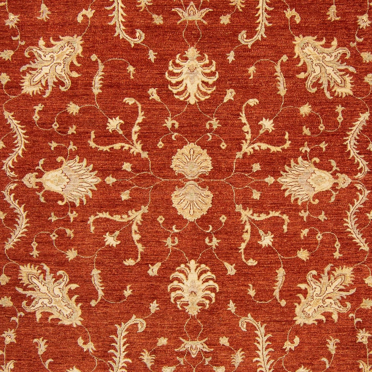 Ziegler Carpet - 350 x 254 cm - mørkerød
