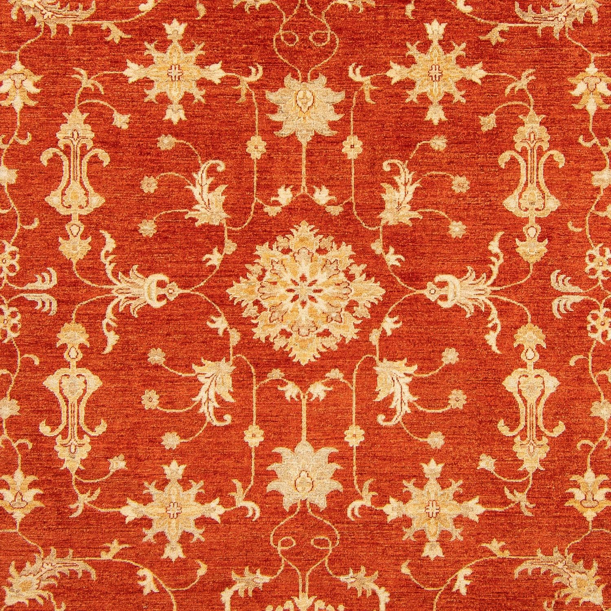 Ziegler Carpet - 345 x 245 cm - rød