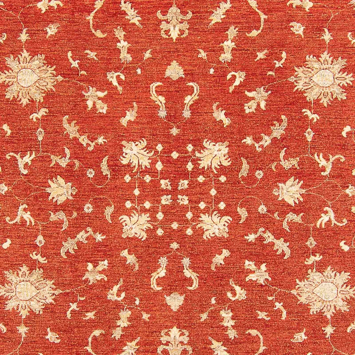 Ziegler Carpet - 341 x 250 cm - rust