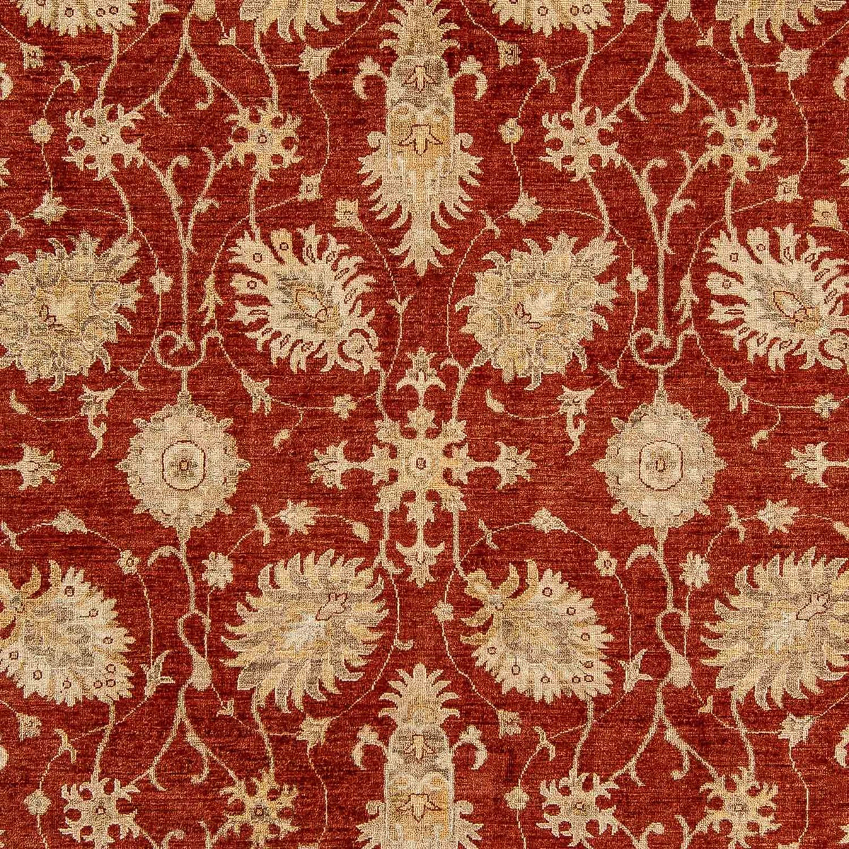 Ziegler Carpet - 295 x 249 cm - mørkerød