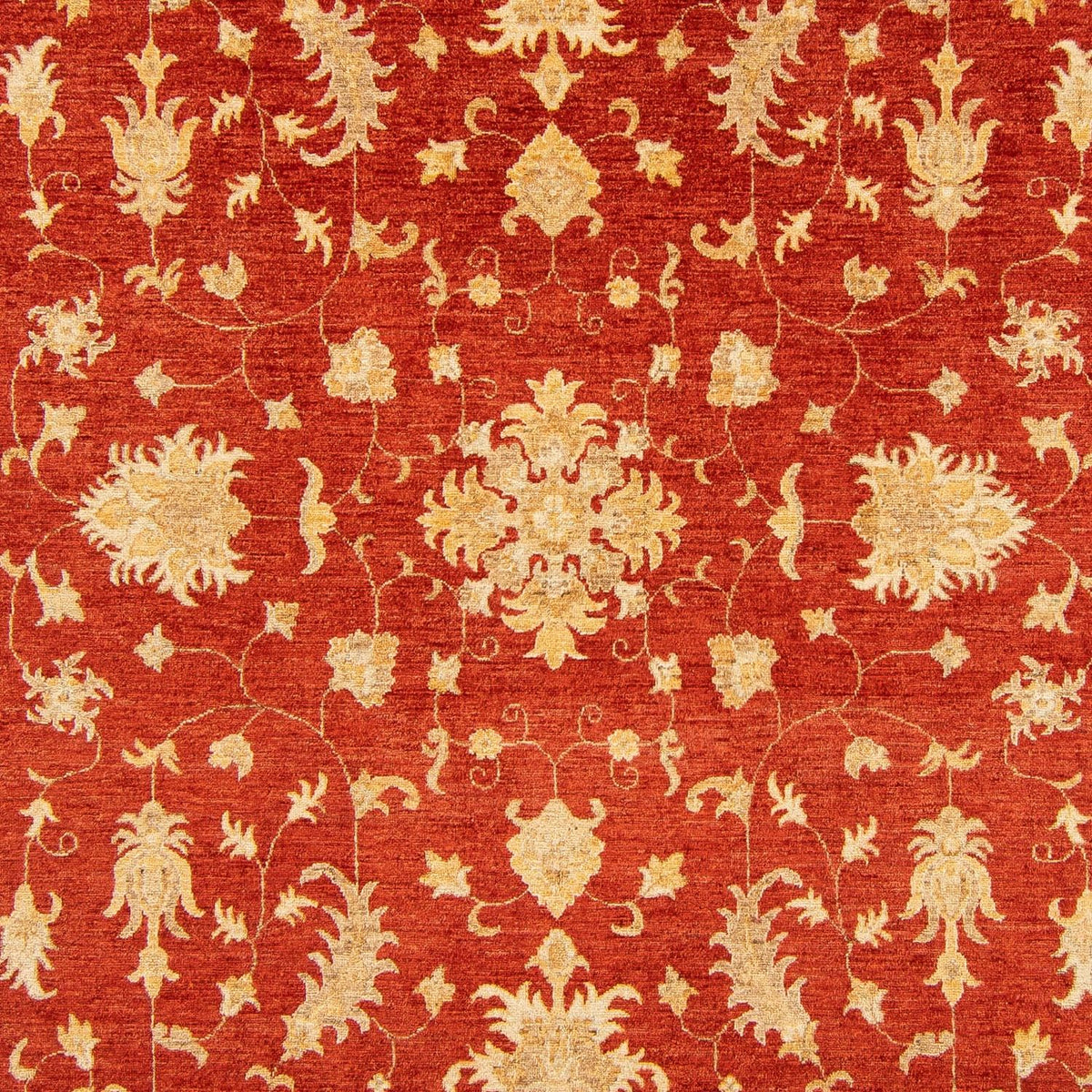 Ziegler Carpet - 346 x 243 cm - rød