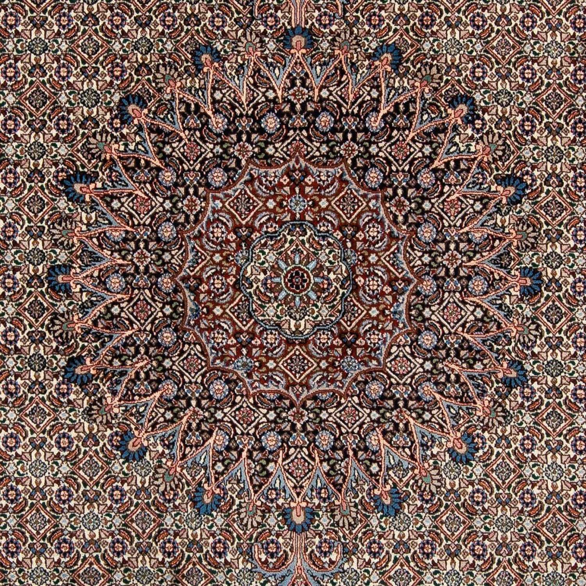 Persisk tæppe - Classic - 289 x 202 cm - beige