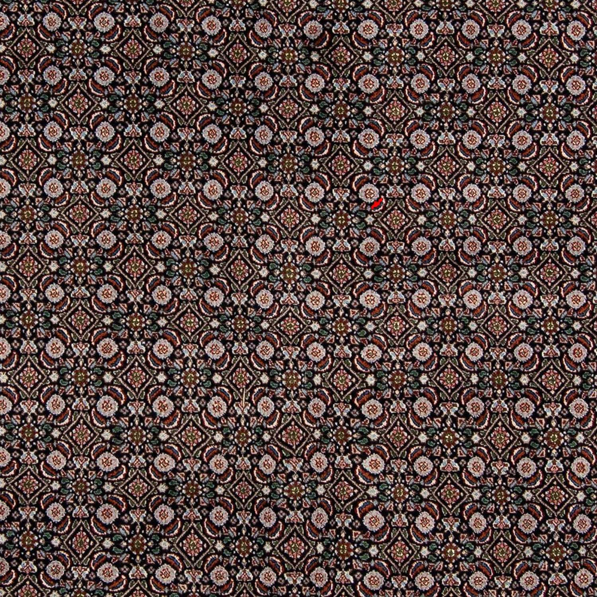 Persisk tæppe - Classic - 295 x 192 cm - mørkeblå