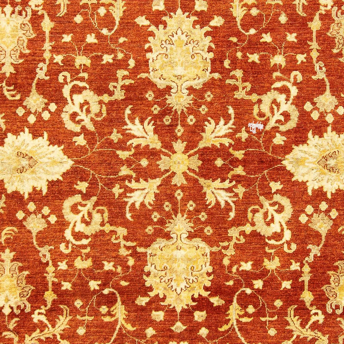 Ziegler Carpet - 251 x 198 cm - mørkerød