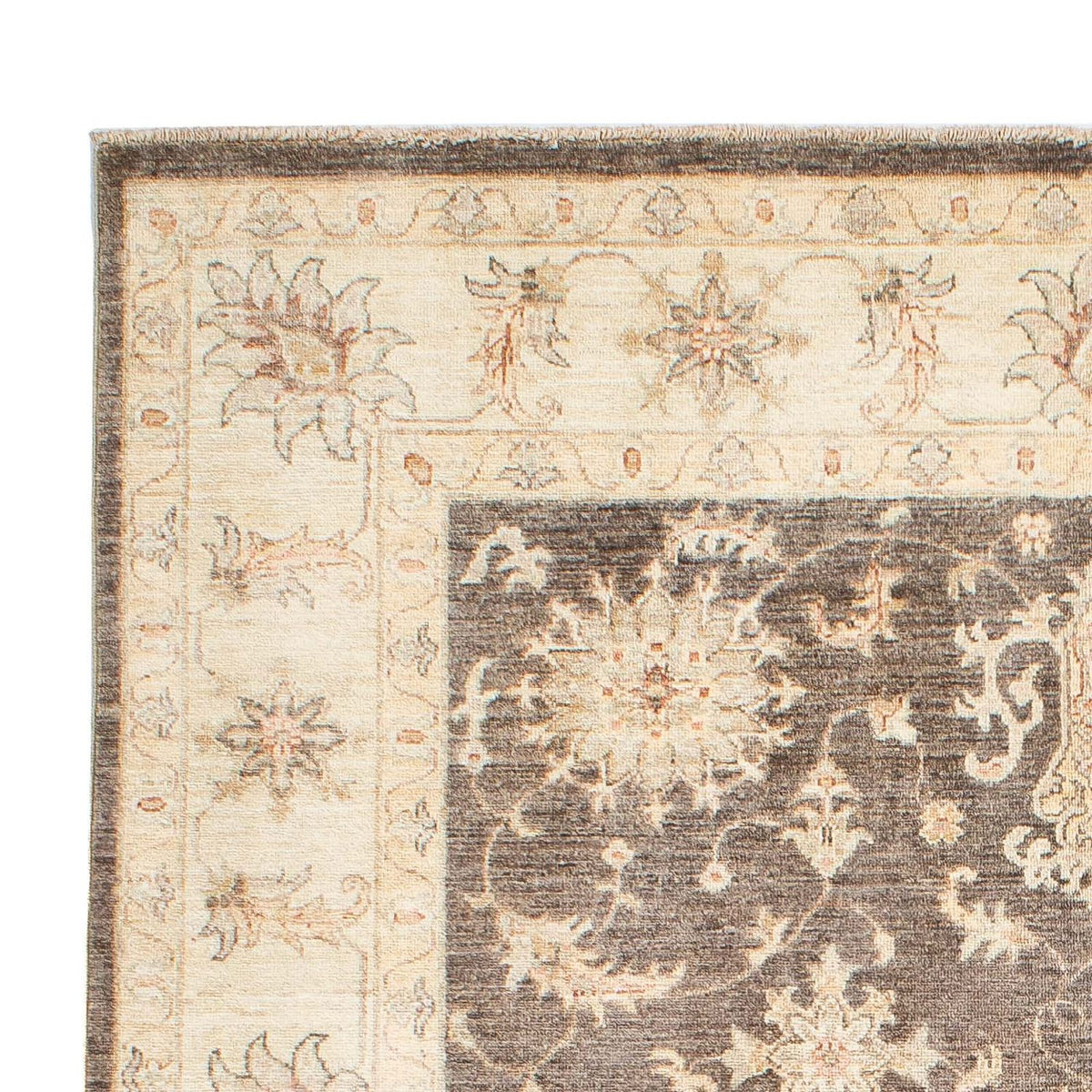 Ziegler Carpet - 236 x 166 cm - beige