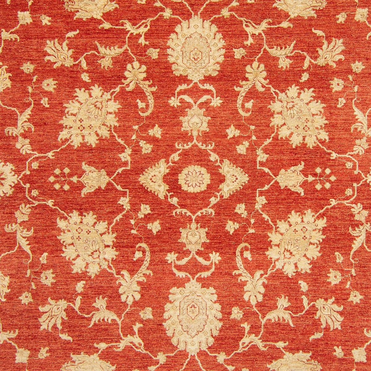 Ziegler Carpet - Kazak - 363 x 276 cm - rød