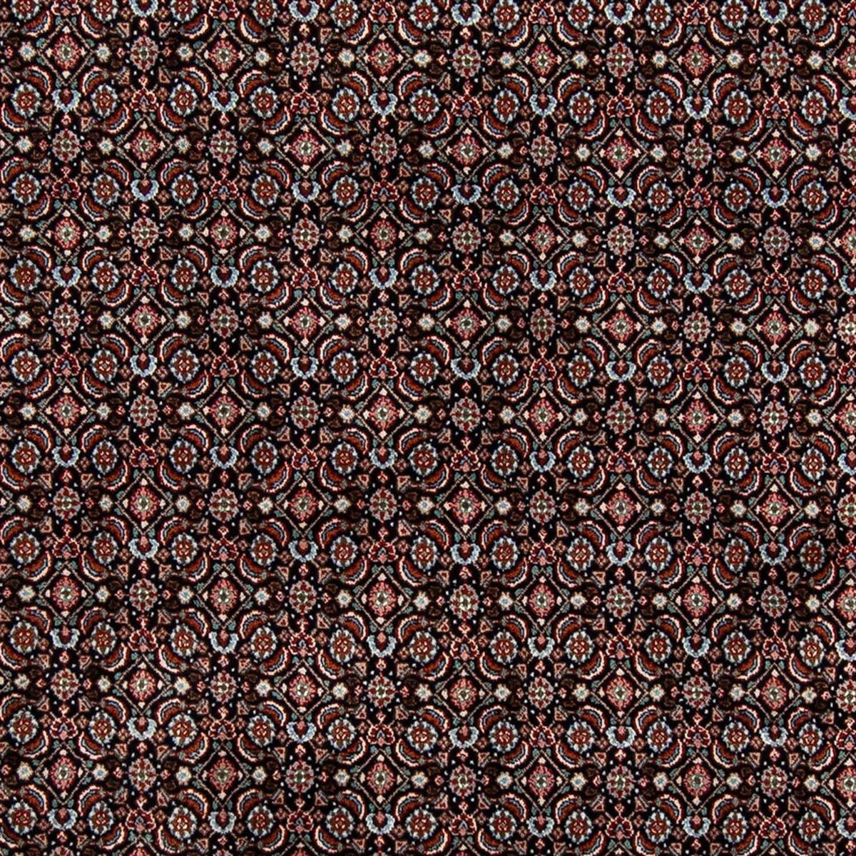Persisk tæppe - Classic - 300 x 200 cm - sort