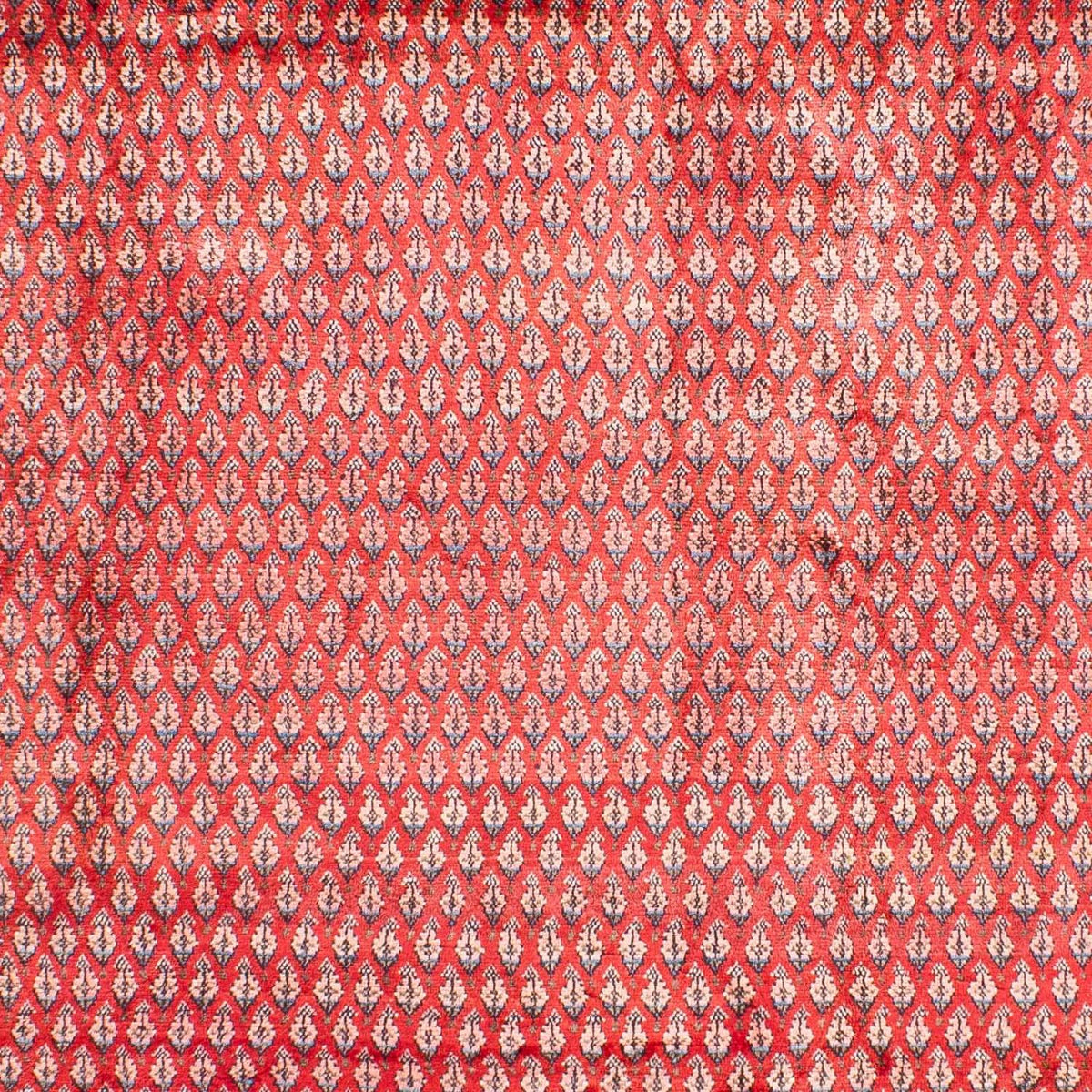 Persisk tæppe - Mir - 317 x 219 cm - rød