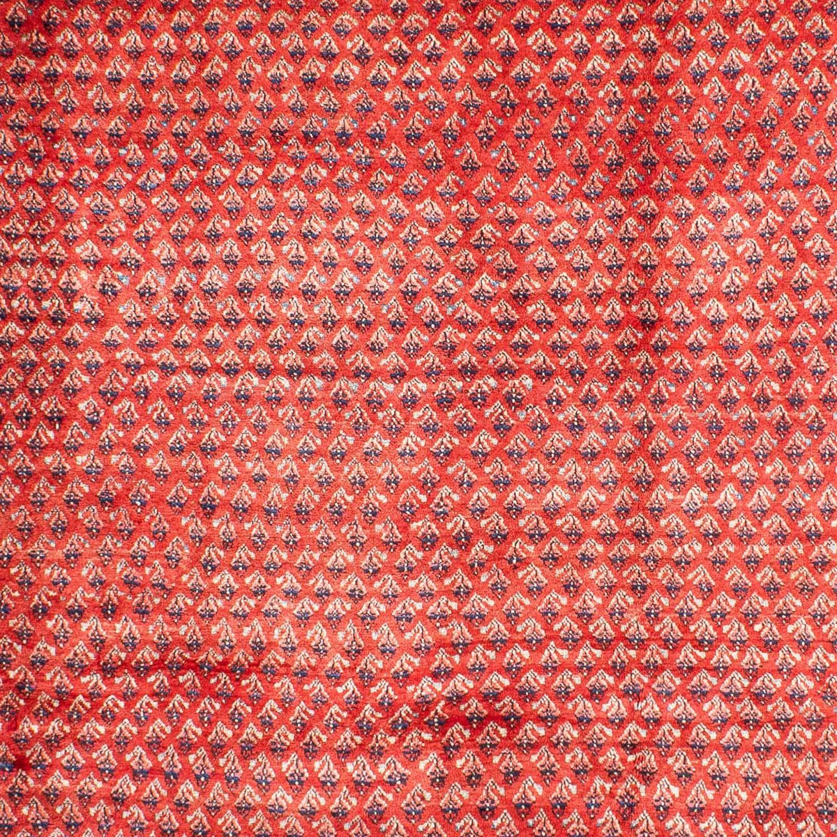 Persisk tæppe - Mir - 316 x 220 cm - rød
