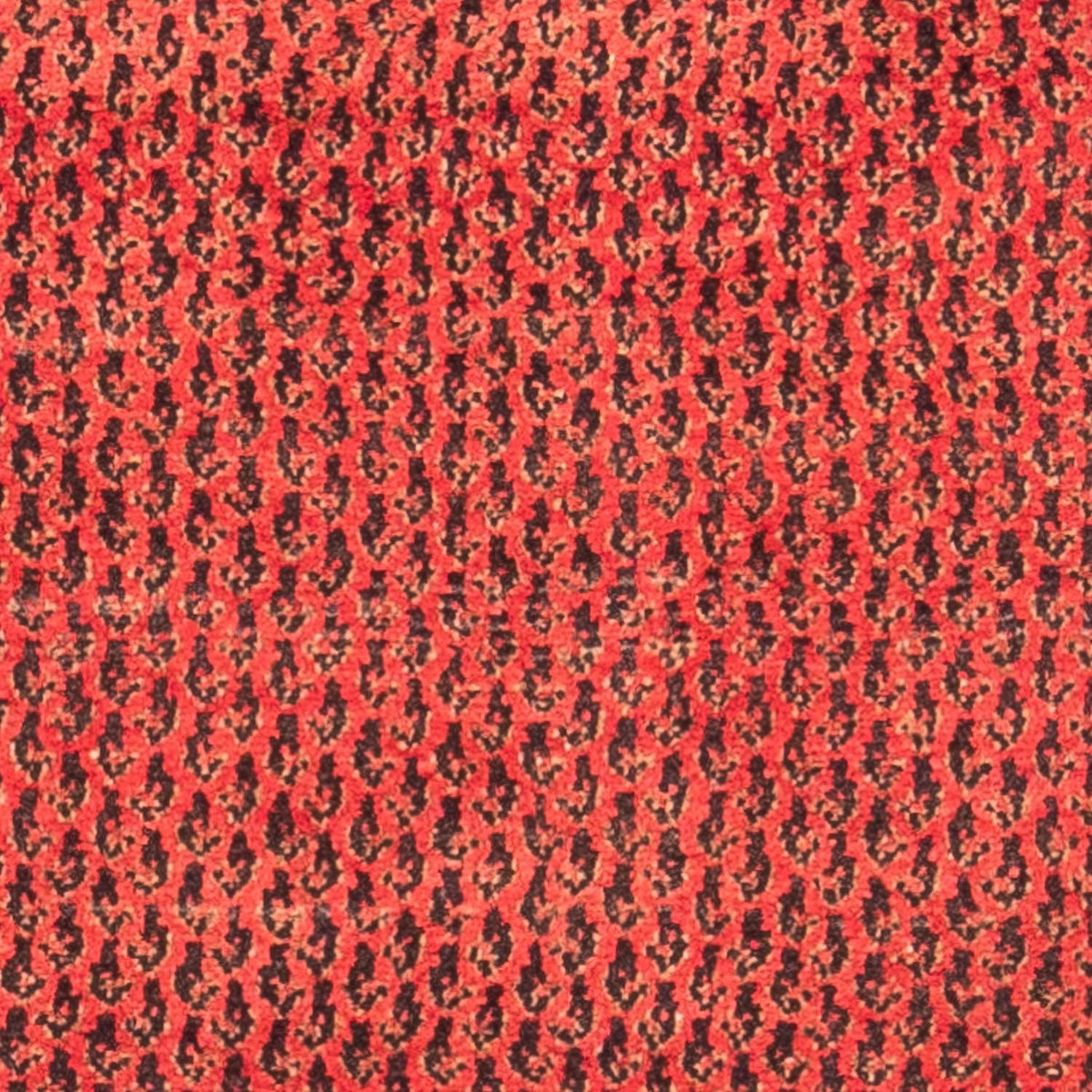 Løber Persisk tæppe - Nomadisk - 312 x 112 cm - rød