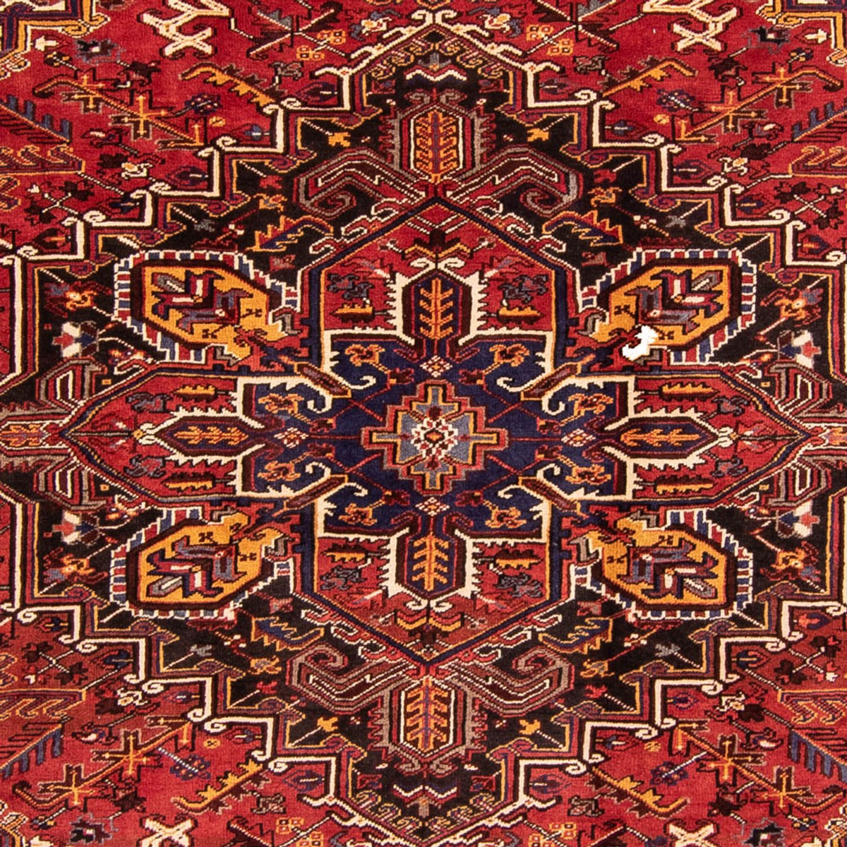 Persisk tæppe - Nomadisk - 329 x 254 cm - mørkerød