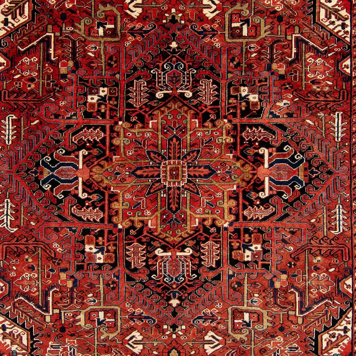 Persisk tæppe - Nomadisk - 380 x 260 cm - mørkerød