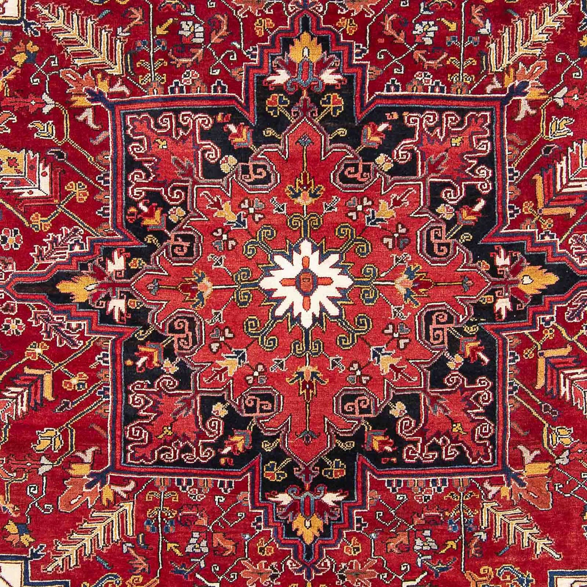 Persisk tæppe - Nomadisk - 323 x 230 cm - lysrød