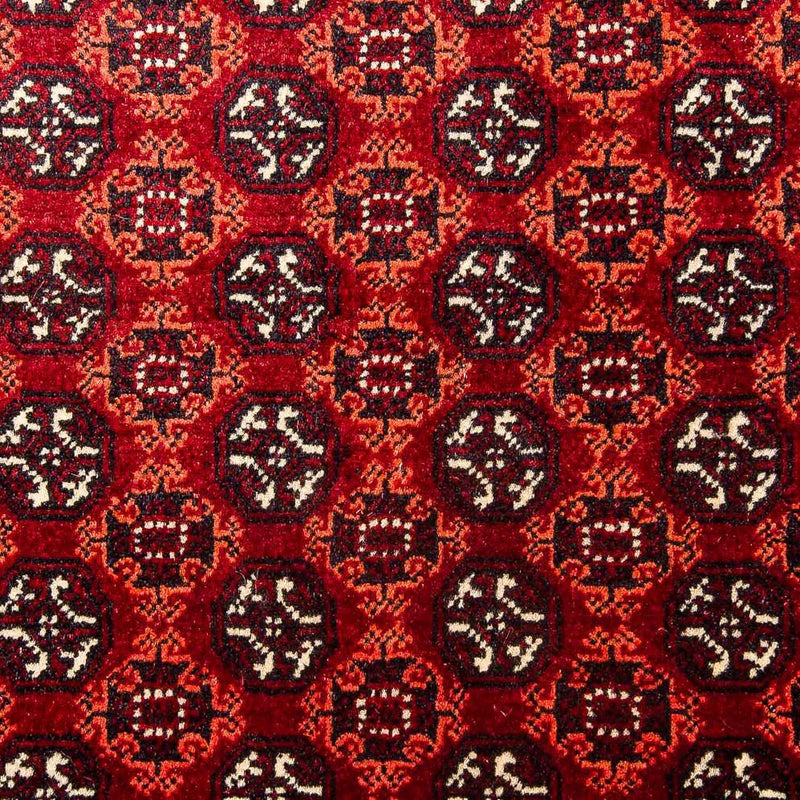 Afghansk tæppe - Bukhara - 293 x 201 cm - rød