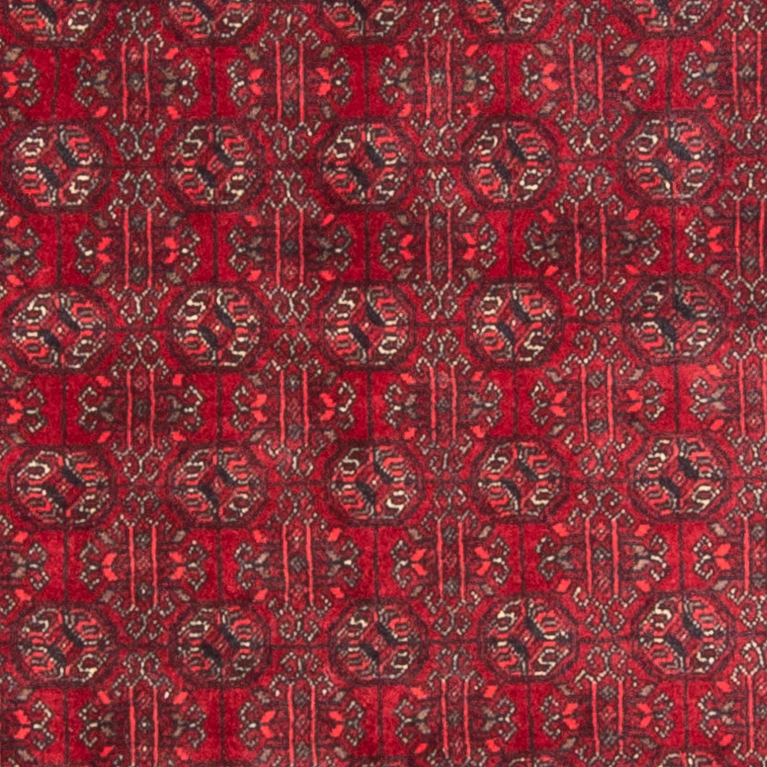 Afghansk tæppe - Bukhara - 196 x 124 cm - rød