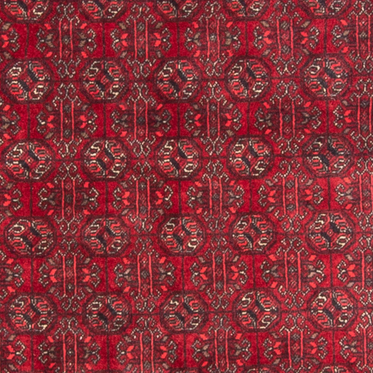Afghansk tæppe - Bukhara - 196 x 124 cm - rød