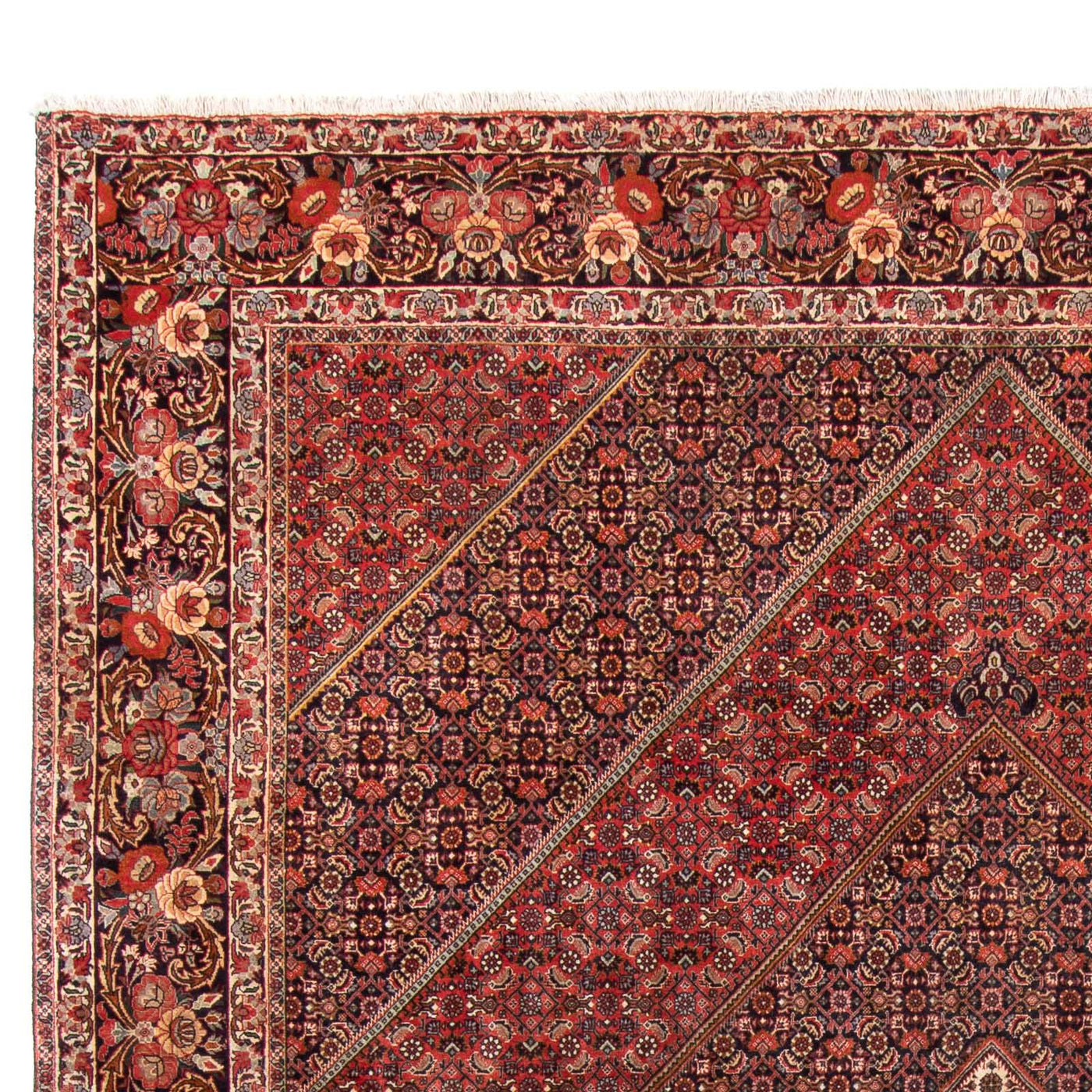 Bidjar Tæppe 350x250cm - Persisk tæppe