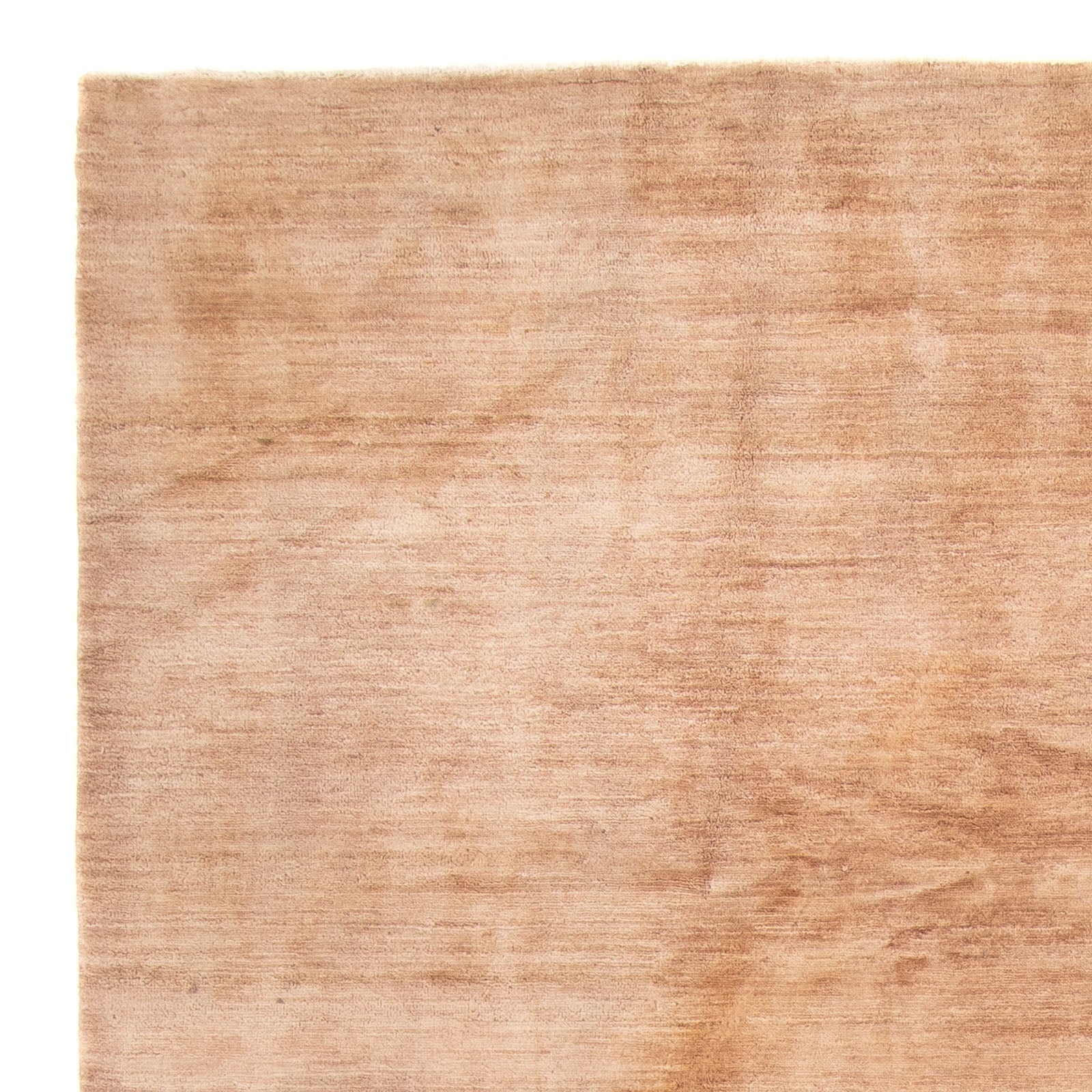 Ziegler Tæppe - Moderne - 300 x 200 cm - beige